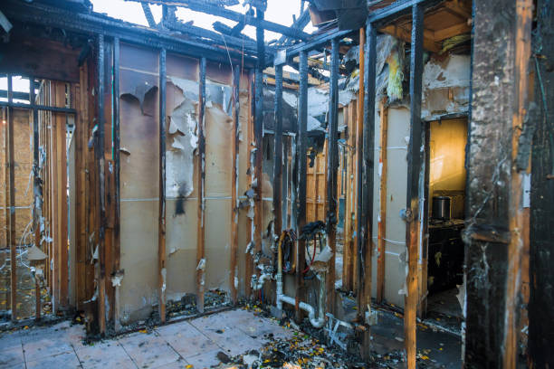 Professional Fire Damage Assessment technician working in Dorr, MI